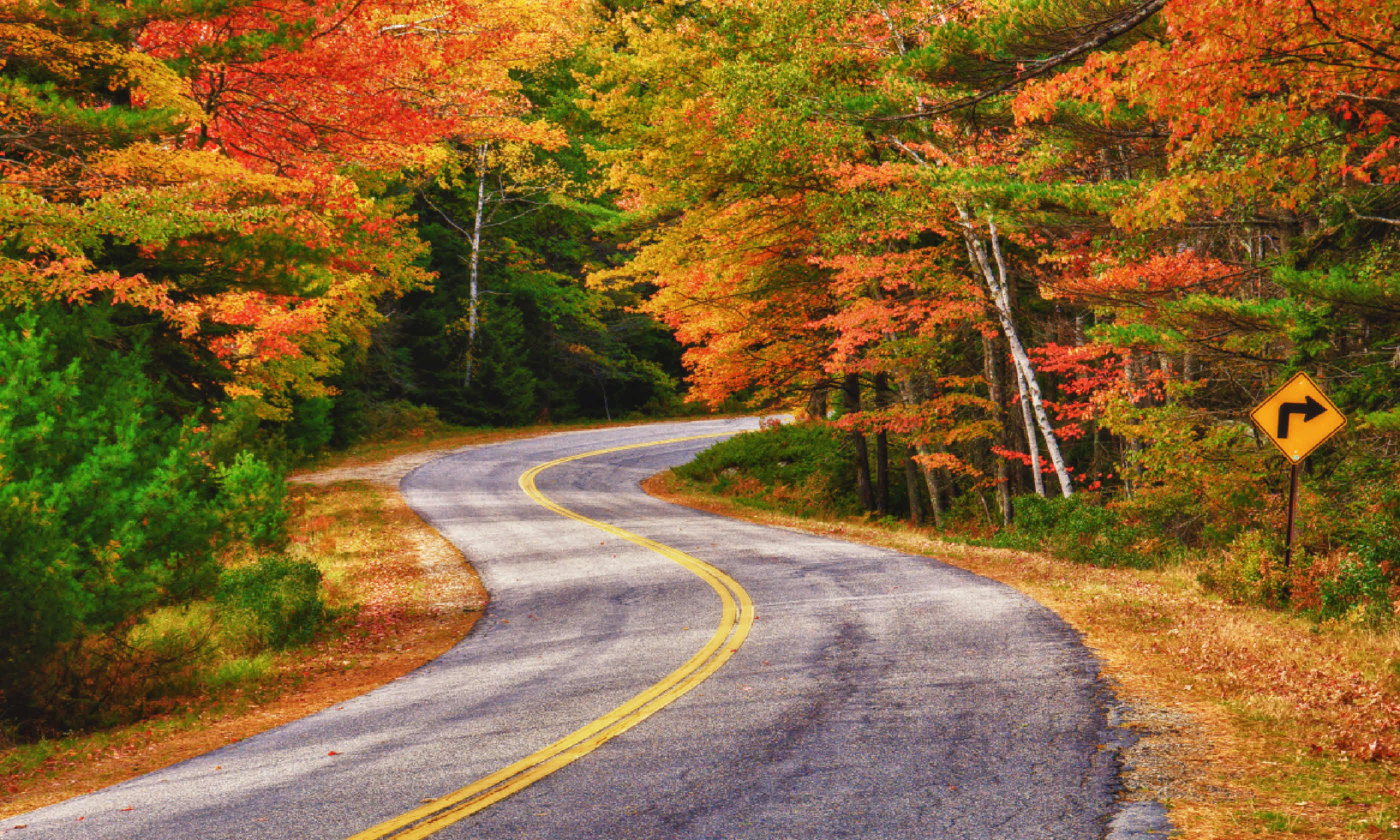 Autumn in New England (Shutterstock)