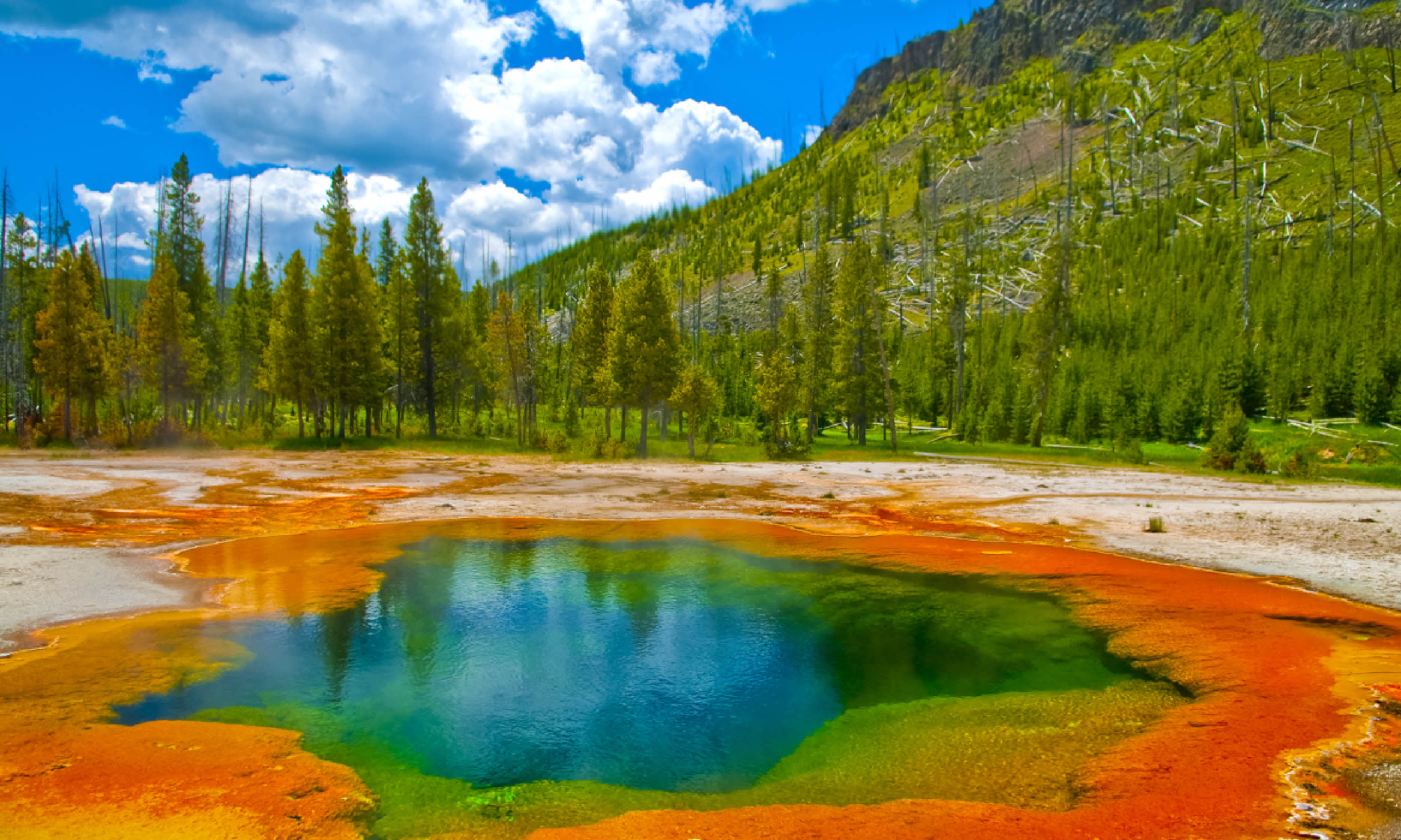 Yellowstone NP (Shutterstock)