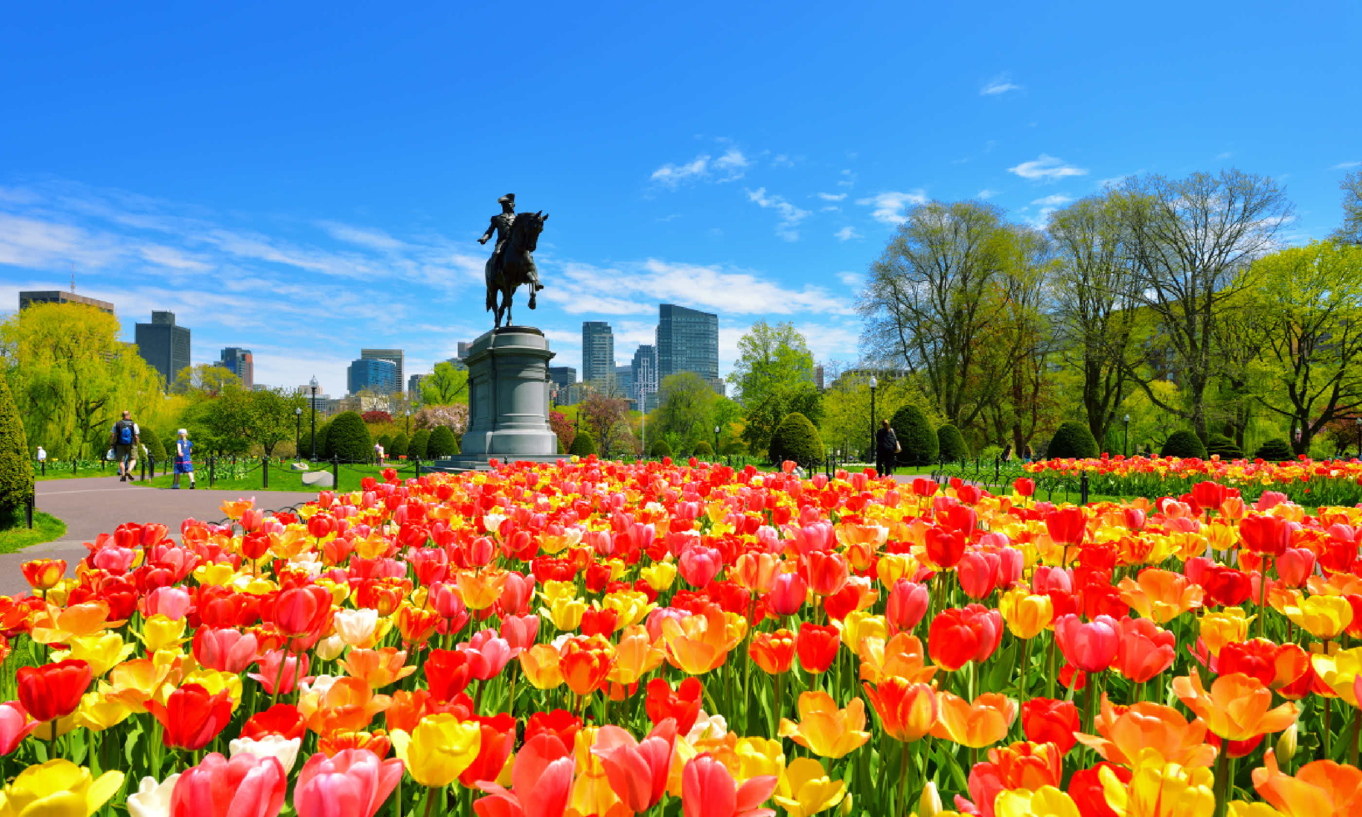 Boston Public Garden (Shutterstock)