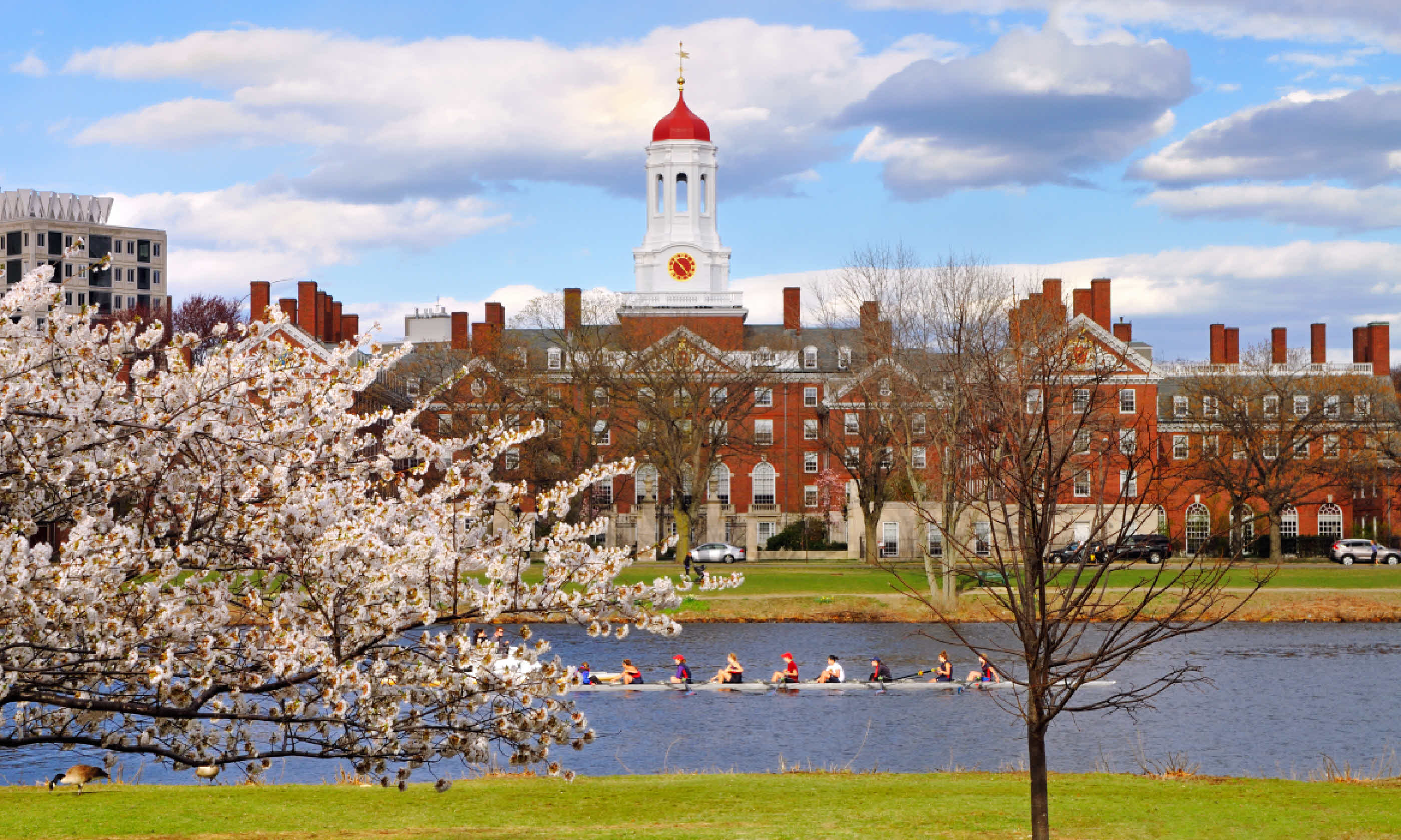 Harvard University in the spring (Shutterstock)