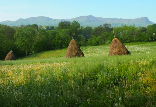 A meadow in a Romanian village