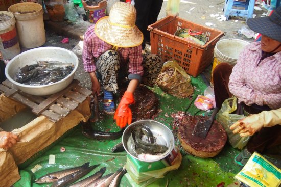  cambodian market battambang 