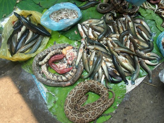  cambodian market battambang 