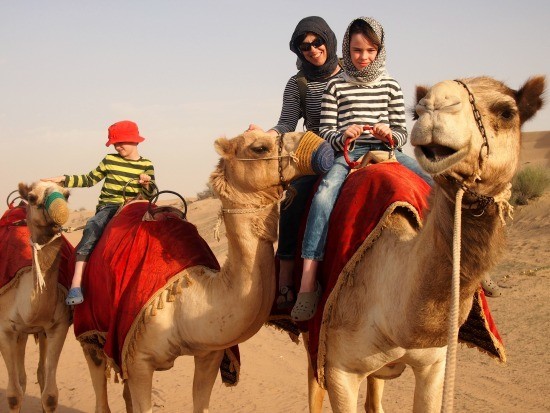 Camel riding in the desert. Dubai. Family fun on a camel safari.
