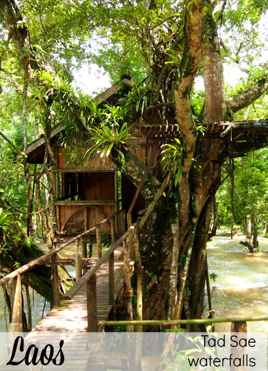 Tad Sae Waterfalls Luang Prabang Laos