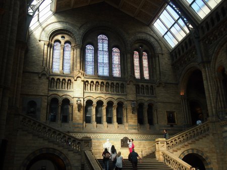 Natural history museum interior