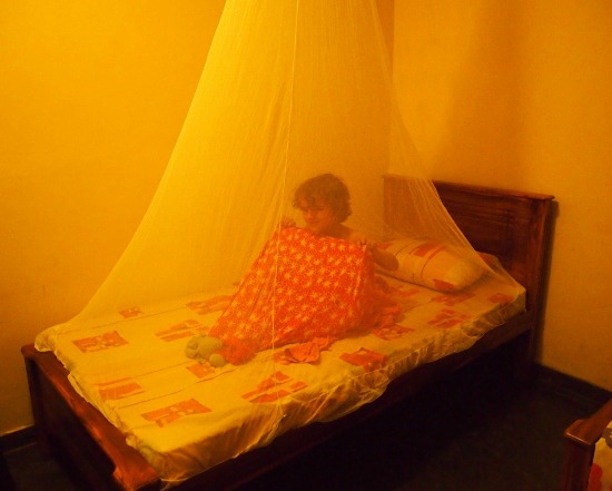 mosquito net tips avoiding mosquitos