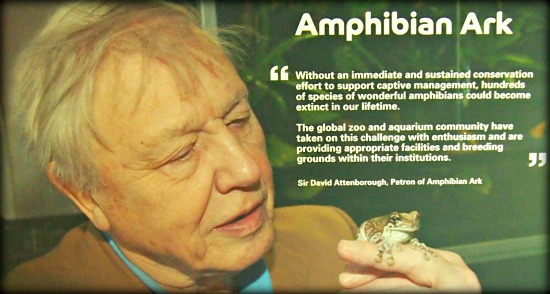London zoo David Attenborough