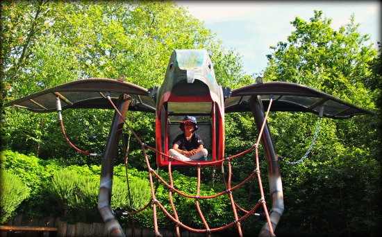 London zoo playground