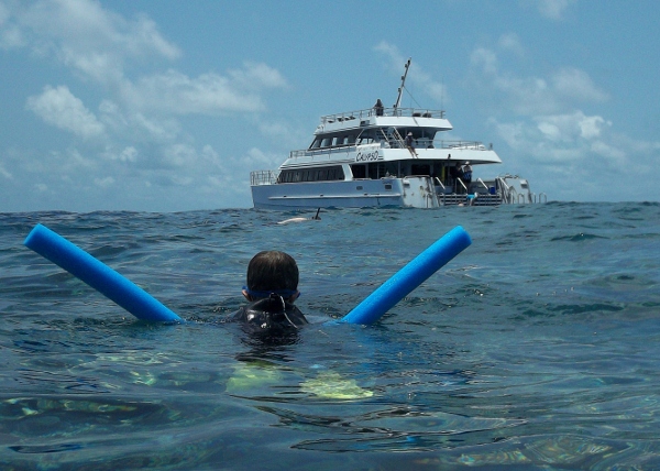 things to do port douglas snorkel reef