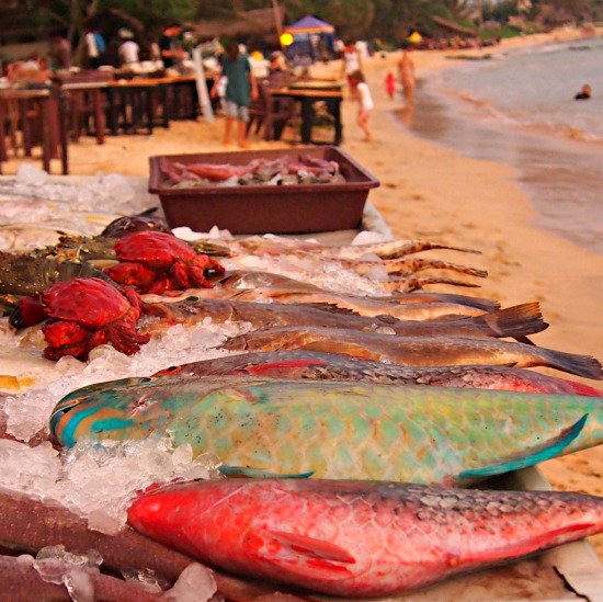 Fresh fish Mirissa Sri Lanka