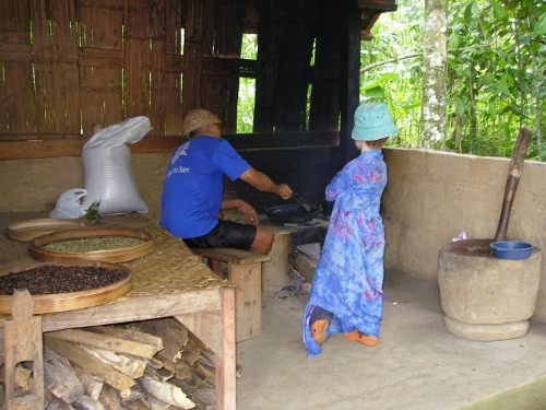 roasting civet coffee Bali