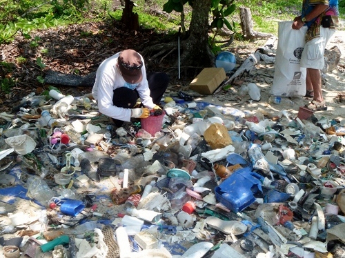 Marine debris, Cape Tribulation