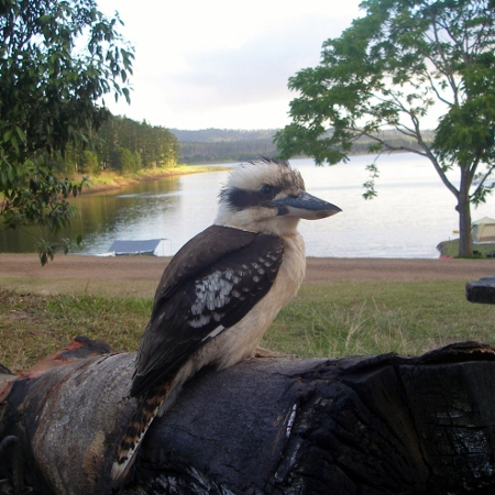 Lake Tinaroo