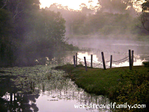 The platypus pond at Tarzali Lakes