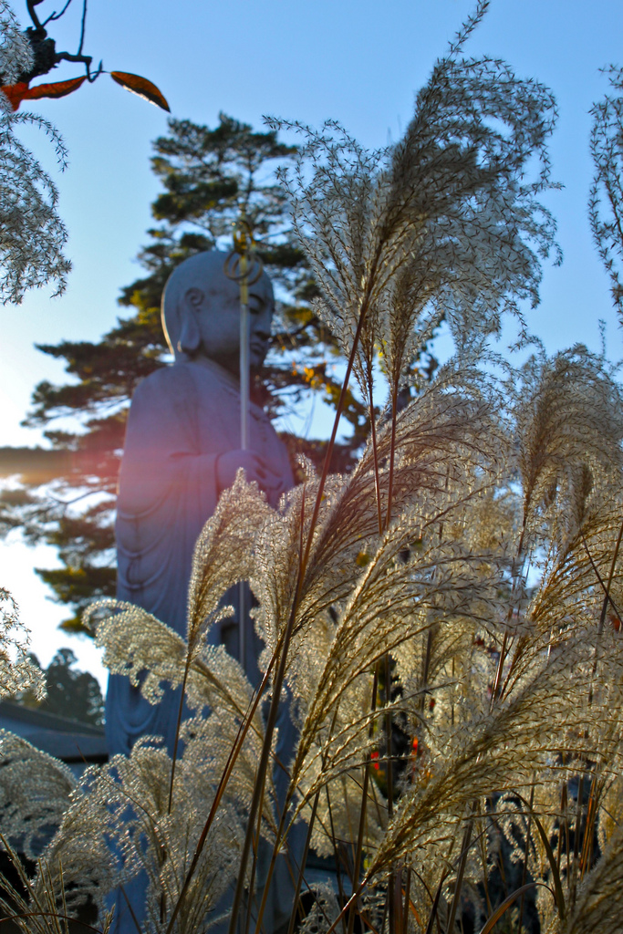 koyasan photo