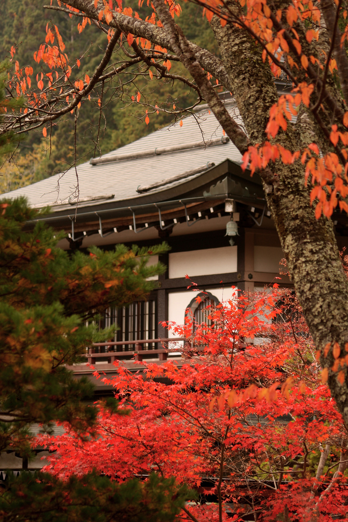 koyasan photo