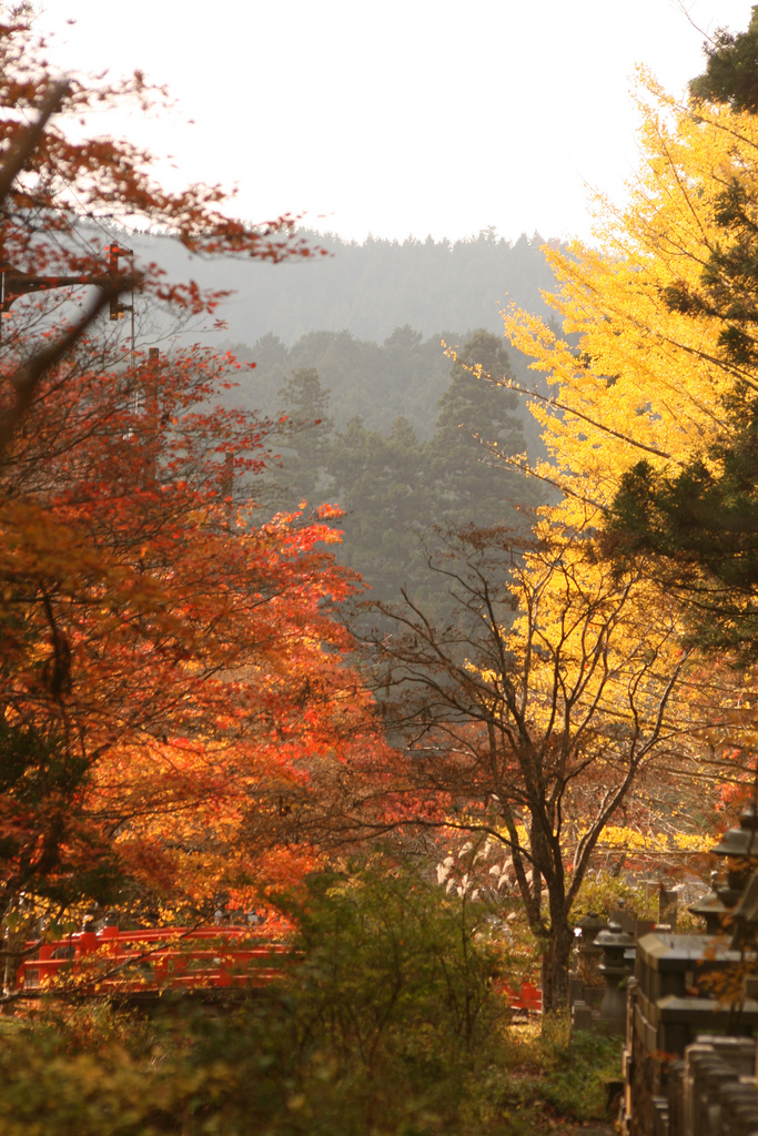 koyasan photo