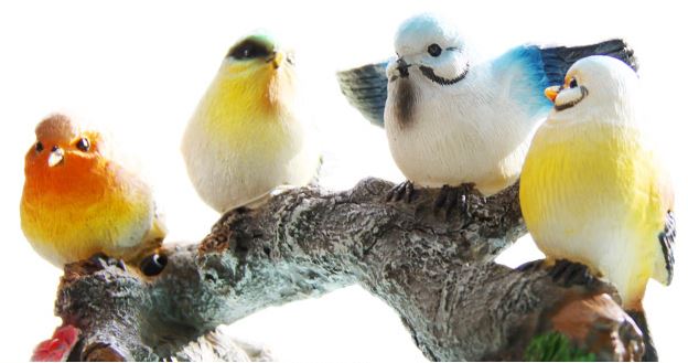 Kotori Cafe Birds of a Feather