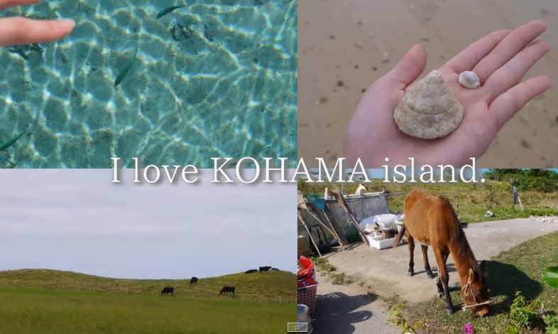 Love Kohama Island
