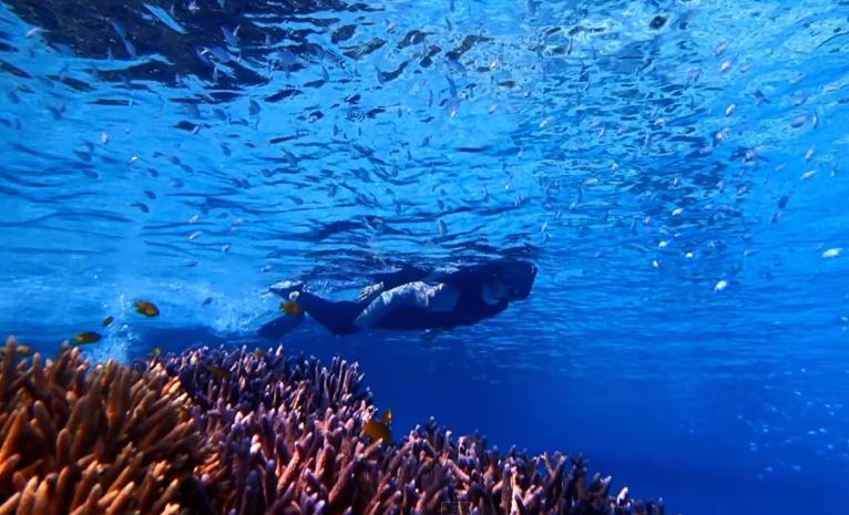 Snorkeling at Maboroshi no Shima Island