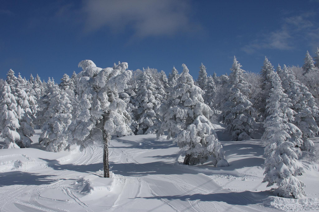 shiga ski photo