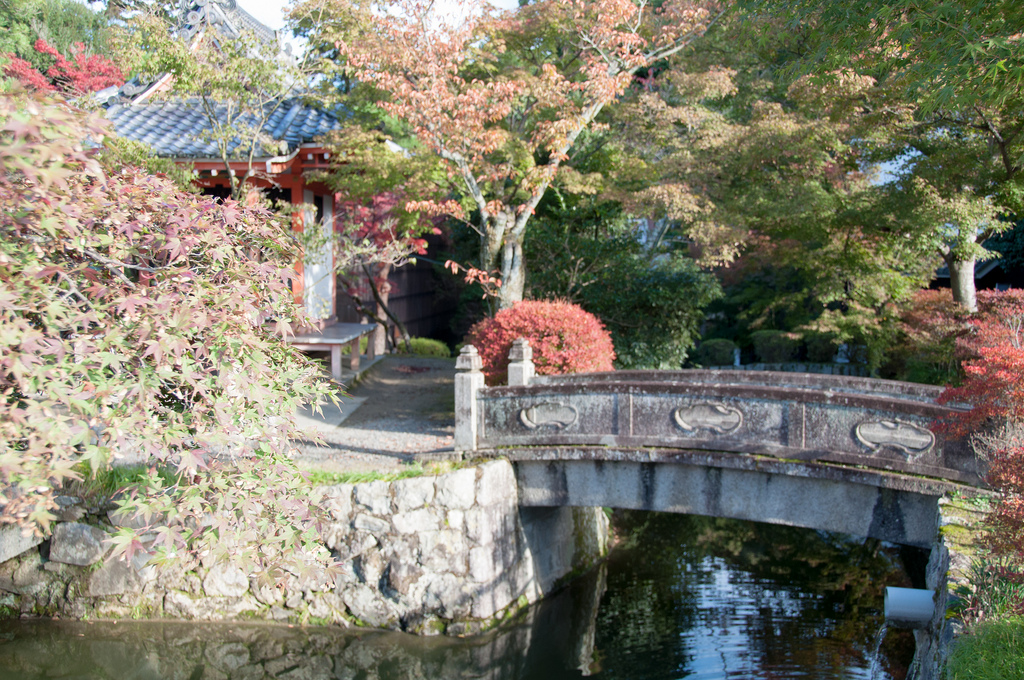 Kiyomizu-dera photo