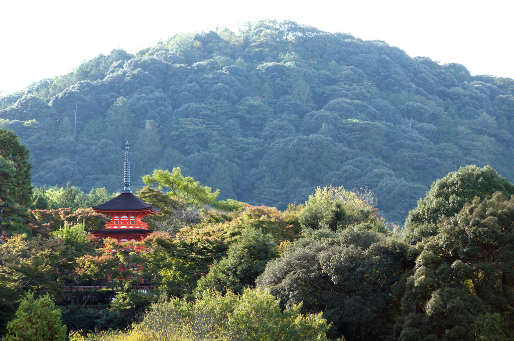 Kiyomizu-dera photo