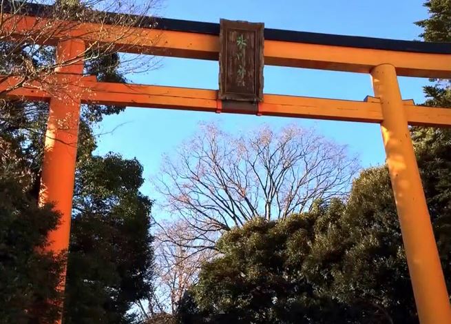 Hikawa Shrine Torii Gates