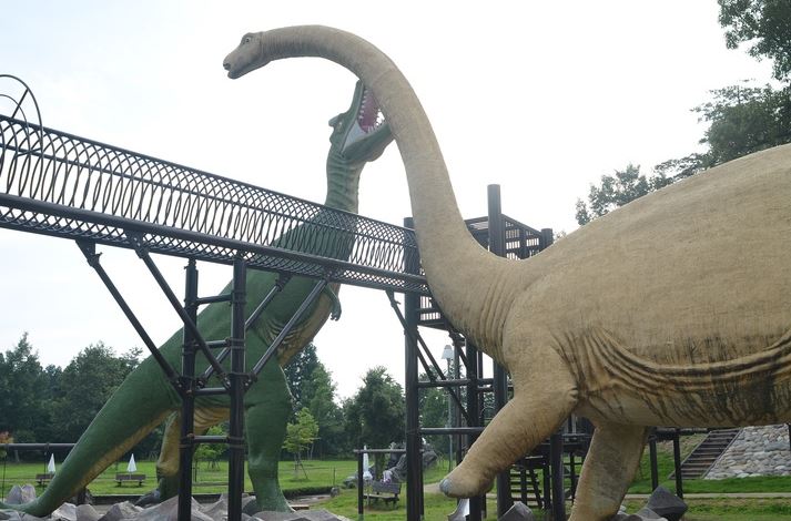 Fukui Prefectural Dinosaur Museum Playground