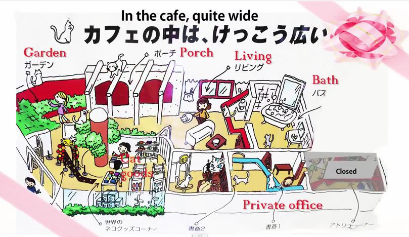 Nyanda Cat Cafe in Odaiba Map