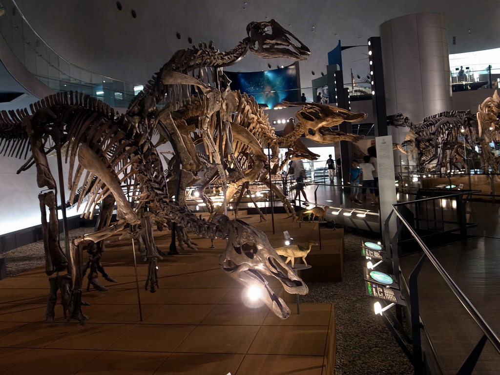 Fukui Prefecture Dinosaur Museum Dinosaur Exhibits