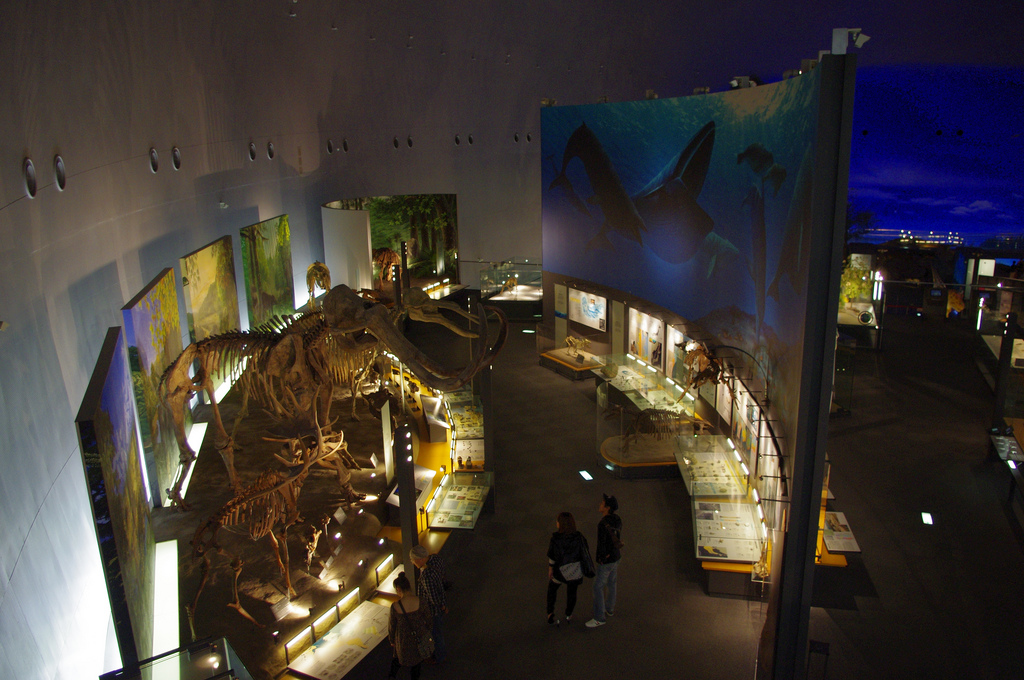 Fukui Prefecture Dinosaur Museum main hall