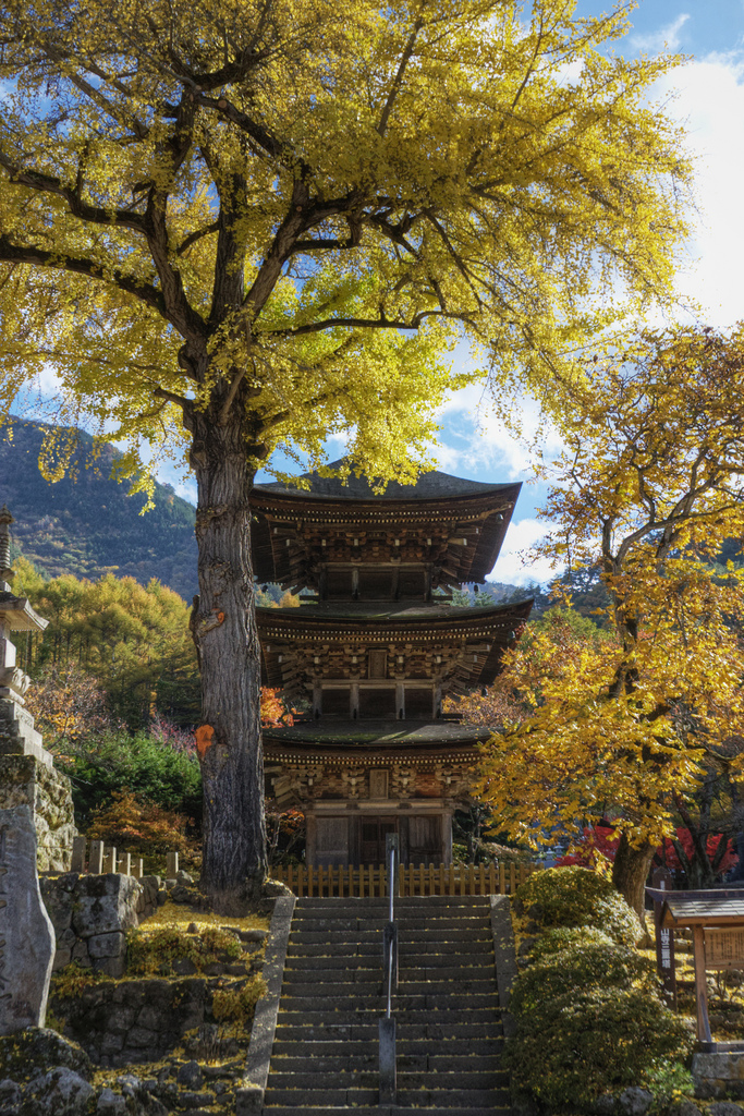 黄葉の前山寺　A Pagoda and Autumn Leaves