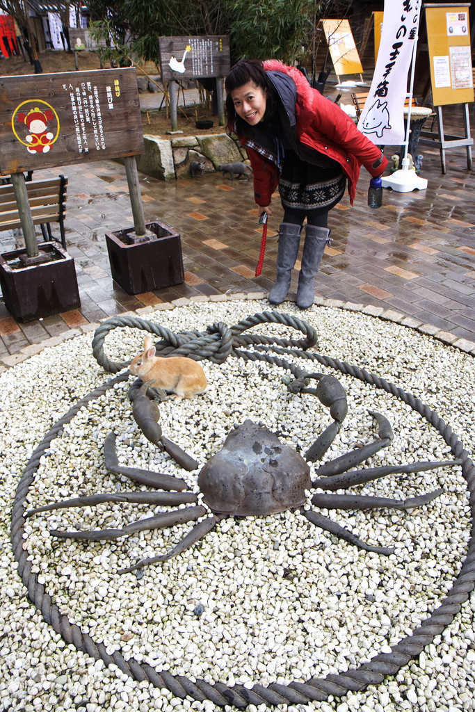 Awara Onsen rabbit (photo: taiweihsu/flickr)