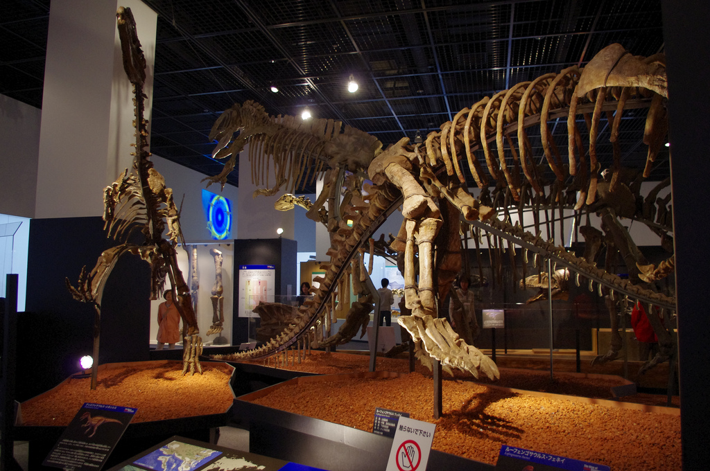 Dinosaur Museum Fukui photo