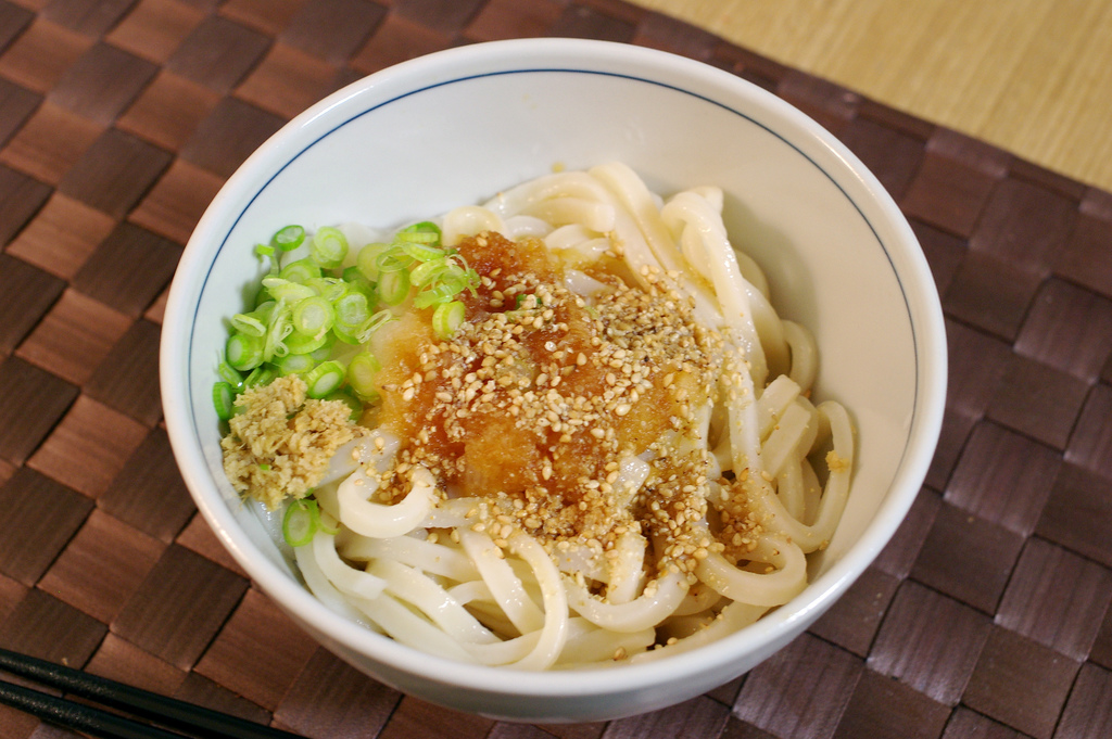 Sanuki udon photo