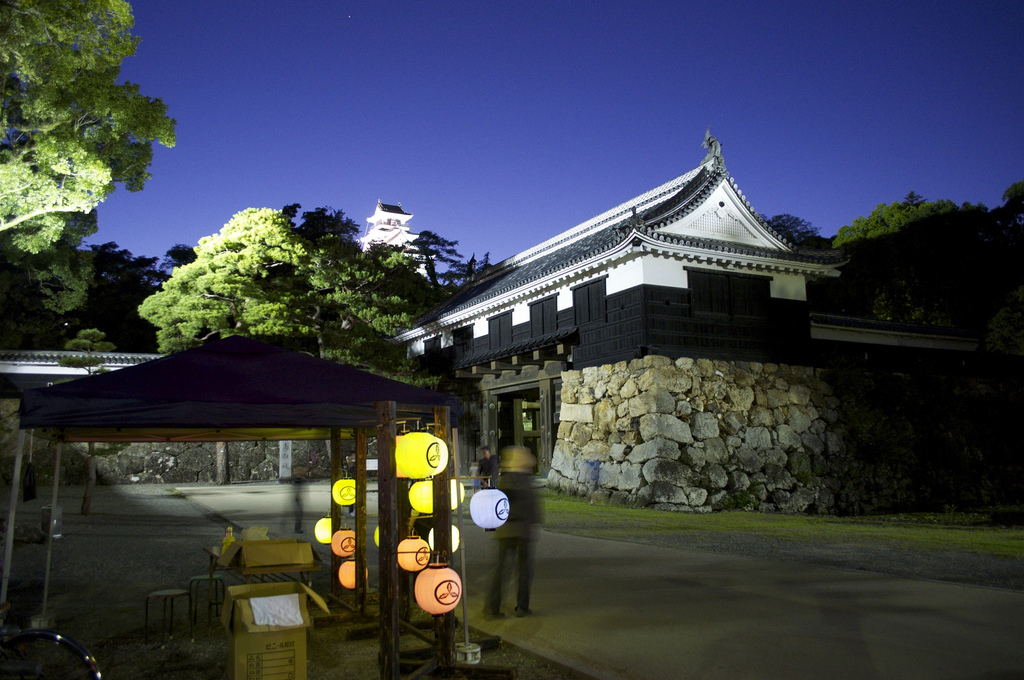 kochi castle photo