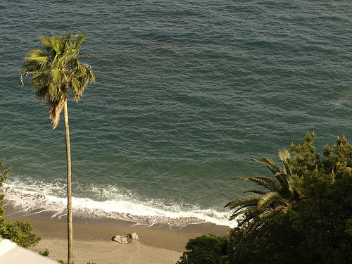 Katsurahama beach photo