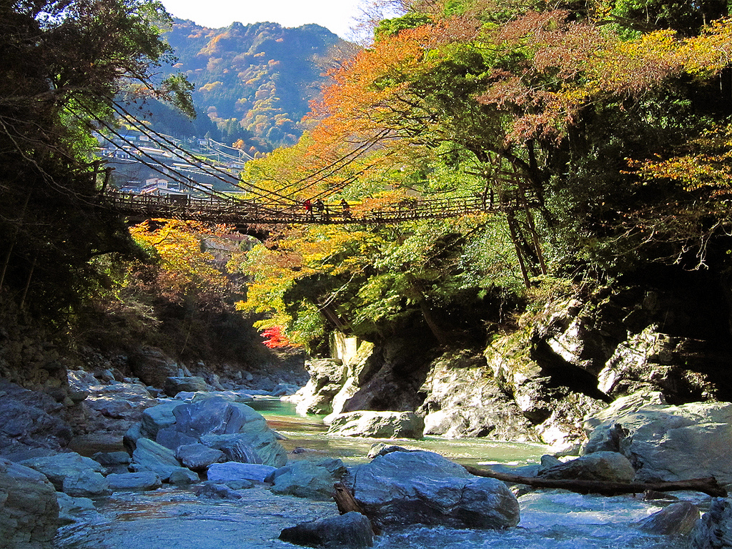 Kazurabashi Bridge suspension bridge - in autumn