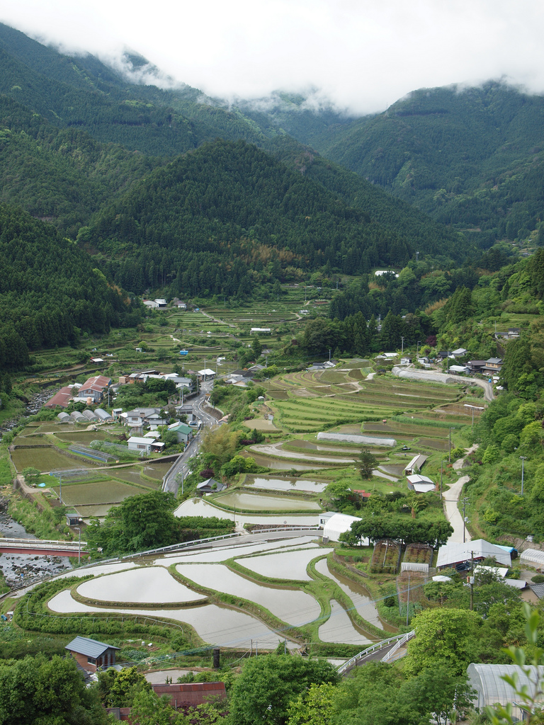 Kamikatsu Tokushima photo