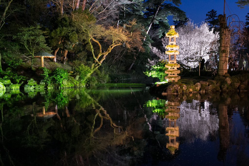 Kanazawa sakura photo