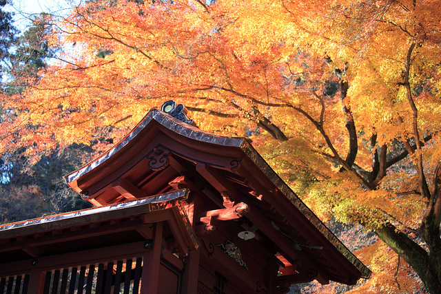Myougi-jinja shrine, Tomioka-shi city Gunma-ken Prefecture, Japan (photo: TANAKA Juuyoh/flickr)