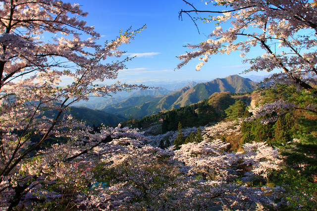 Mt. Miyogi in Gunma Japan (photo: ∞furbychan∞/flickr)