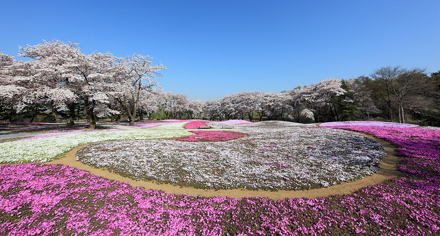The Treasure Garden, Tatebayashi-shi city, Gunma-ken Prefecture, Japan (photo:  TANAKA Juuyoh/flickr)