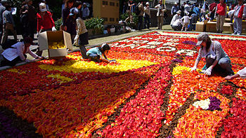 English: Infiorata Kobe 2006 at Kitanozaka in ...