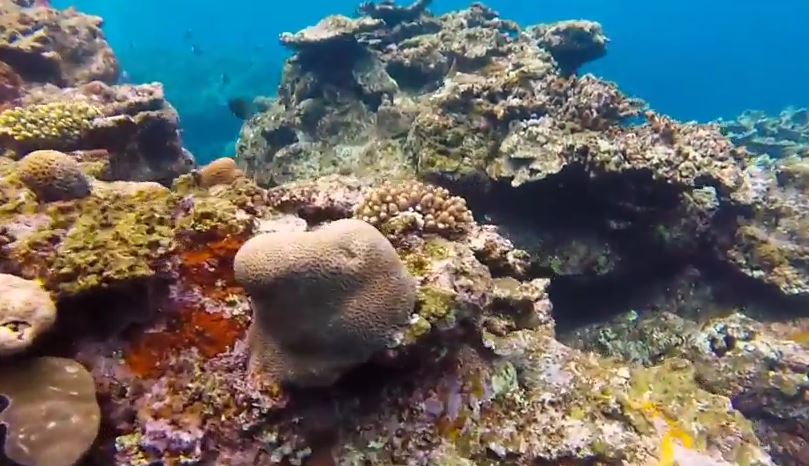 Kerama Islands beautiful coral reefs