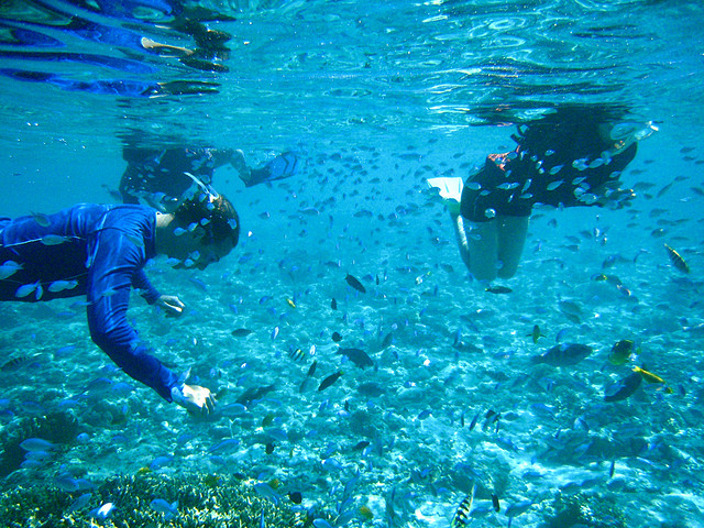 Zamami Island Snorkeling (photo:  rogerimp/flickr)