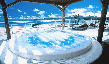 Bade Haus hot tub