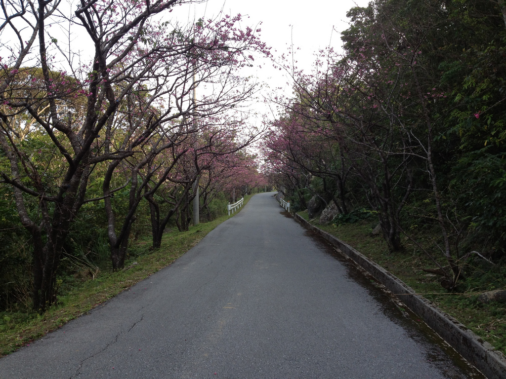 Kume Island road (photo: Nao Iizuka/flickr)